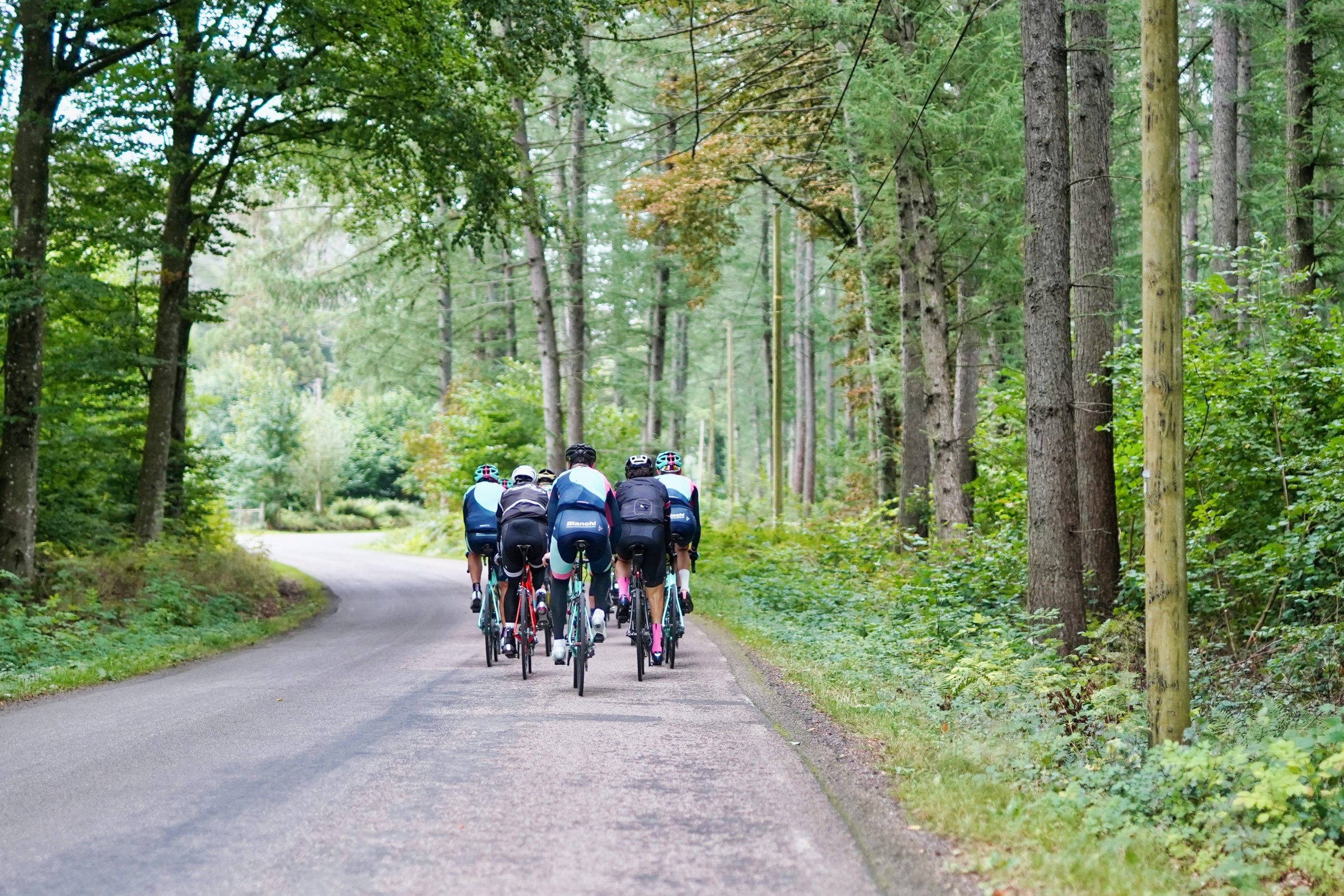 TVM-Radsport